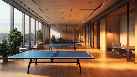 Sports Courts