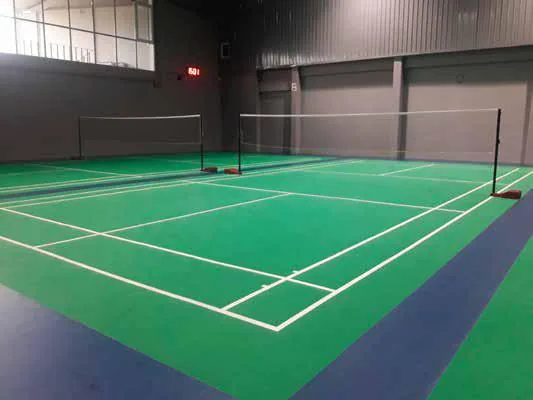 Birla Arika badminton court