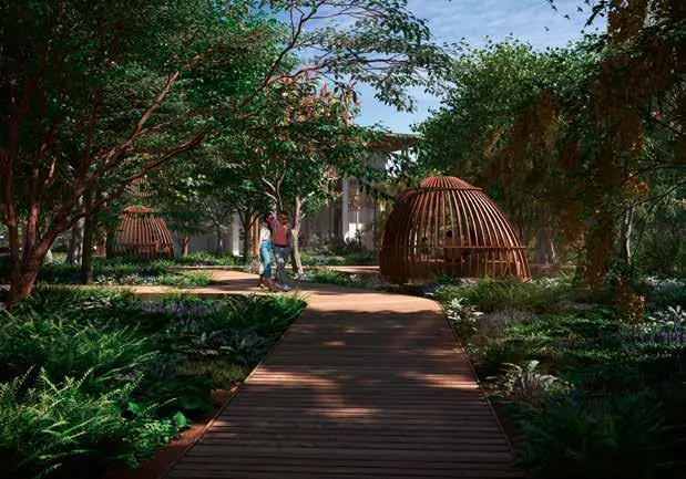 Birla Arika forest boardwalk pods