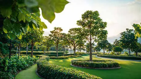 Birla Arika landscaped garden