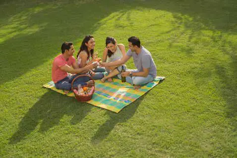 Birla Arika picnic lawn